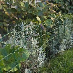 Biltema Bedhegn, 40 Cm -Biltema butik 14 2408 xxl 3202