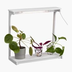 Biltema Plantebelysning